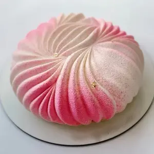 3D Round Spiral Swirl Entremet Silicone Mould for Baking