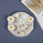 daisy Flowers silicone Mould