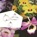 3 pcs caulis Dendrobium Petal Cutter Set ( A338)