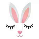Rabbit theme set Cake Topper