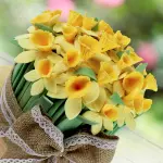 Daffodils Silicone Flower Silicone Mould