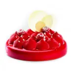 Round Hill Shape Silicone Mousse cake mould entremet mould