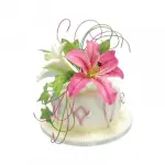 Veined Lily Plunger Cutter Set of 2 Pieces
