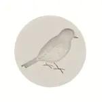 1 Cavity Lovely Bird Silicone Mould