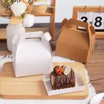 10 Pcs Multipurpose Box with Tray - small