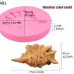 Realistic 3D Shell Starfish Conch sea shell silicone mould