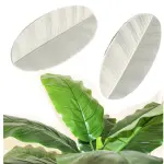 Banana Leaves Leaf Veiner Silicone Mould