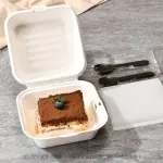 10 Pcs Disposable Bento Cake Boxes