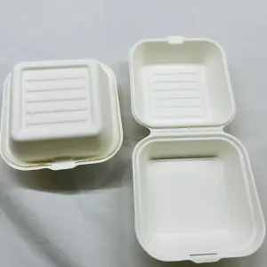 10 Pcs Disposable Bento Cake Boxes