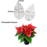 Poinsettia flower Petal veiner
