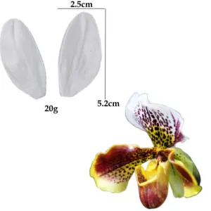 Orchid Flower Petal veiner style 2