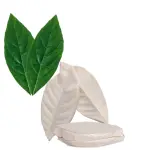 Lemon Rose Leaf veiner mould