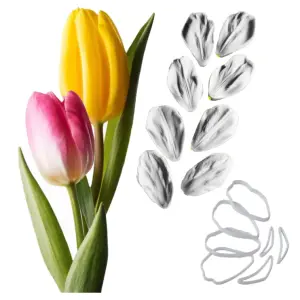 15 Pcs Tulips Flower petal veiner and cutter set