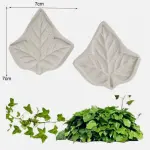 Vine leaf veiner
