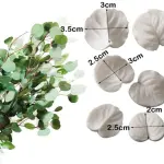 6 pcs Eucalyptus Leaves veiner set