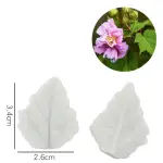Hibiscus Peony Leaf veiner