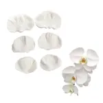 6 pcs Orchid Flower petal veiner