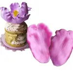 Carrot Tulip flower Petal veiner mould