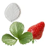 1 pcs Strawberry Leaf veiner mould