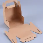 10 Pcs Multipurpose Box with Tray - large