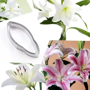 2 Pcs Lily Petal Fondant Sugar craft Stainless Steel Cutter set