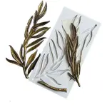 Large Leaf Branch silicone mould