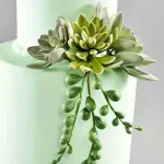 31 Cavity Succulents Flower,Petal,Leaf Silicon mould
