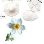 Daffodil Flower Petal Veiner Silicone Mould