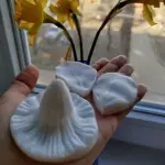 Daffodil Flower Petal Veiner Silicone Mould
