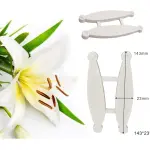 Lily Flower Leaf Press veiner mould style 2