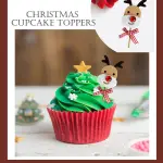 3 pcs Christmas Reindeer theme cake topper