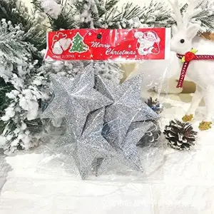 Sparkly Outside Inside Hanging Star Ornament