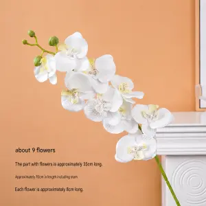 Phalaenopsis Butterfly Orchid Branch