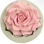 Cute Teddy bear bow silicone mould