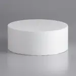 10" x 4" Foam Round Cake Dummy