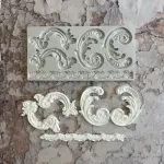 lips holding raspberry theme silicone mould