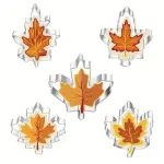 5 pcs maple leaf stainless steel cookie cutter set