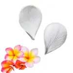 Plumeria Flower Petal veiner