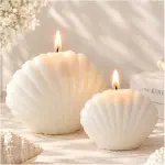 3D sea shell silicone mould (small)