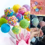 Lollipop Sticks 100 Pcs Cake Pop Sticks 4-inch Cake Candy Chocolate Making Sticks