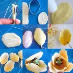 Flower Tulip Petal Cutter Set
