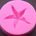 Starfish Silicon Mould