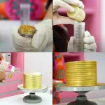 Shimmer Pump - Manual Air Brush Cake Decorating Tool