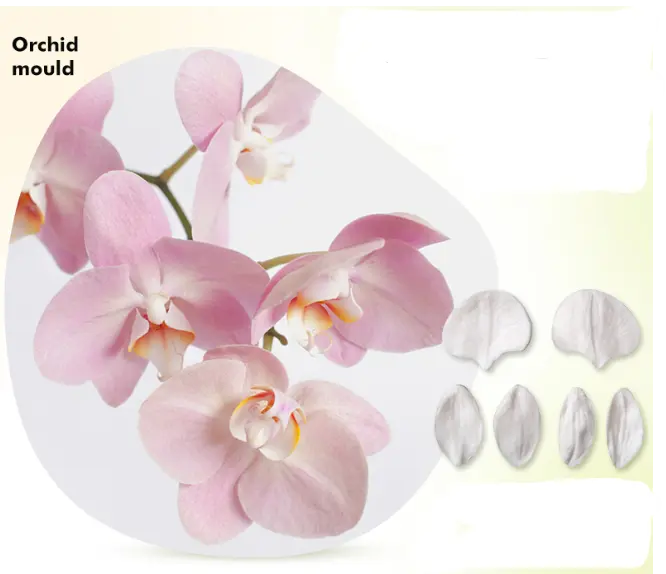 3 sets (6 pcs) Orchid petal veiner mould set
