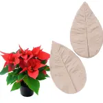 Poinsettia flower Petal veiner