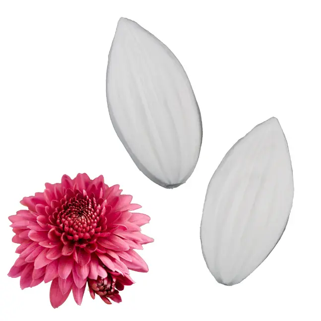 Clematis Petal Flower Veiner