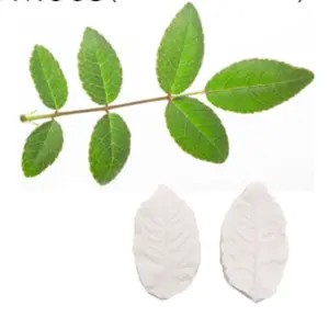 Rose Flower leaf veiner style 4