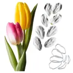15 Pcs Tulips Flower petal veiner and cutter set