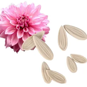 8 pcs Dahlia petal Flower veiner set