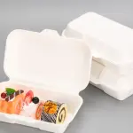 10 Pcs Long White bento Box